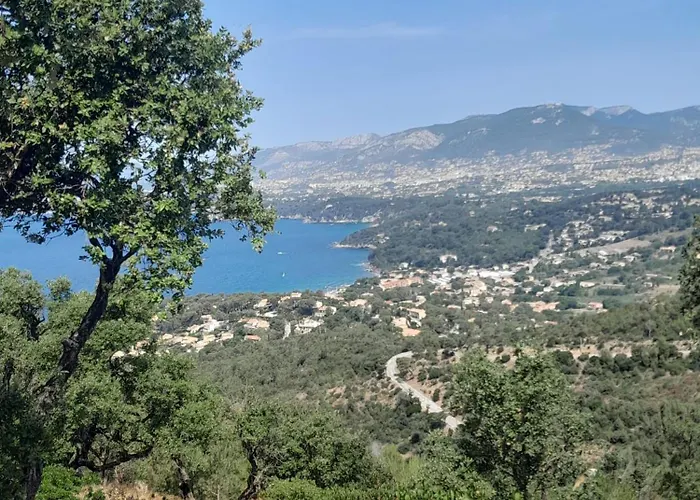 A Repos Balade Sport Bleu Lejlighed Hyères